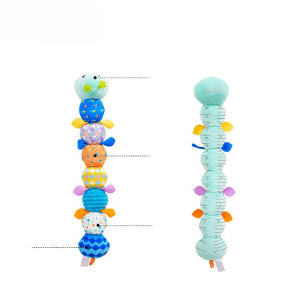 Détail des textures et segments de la chenille sensorielle