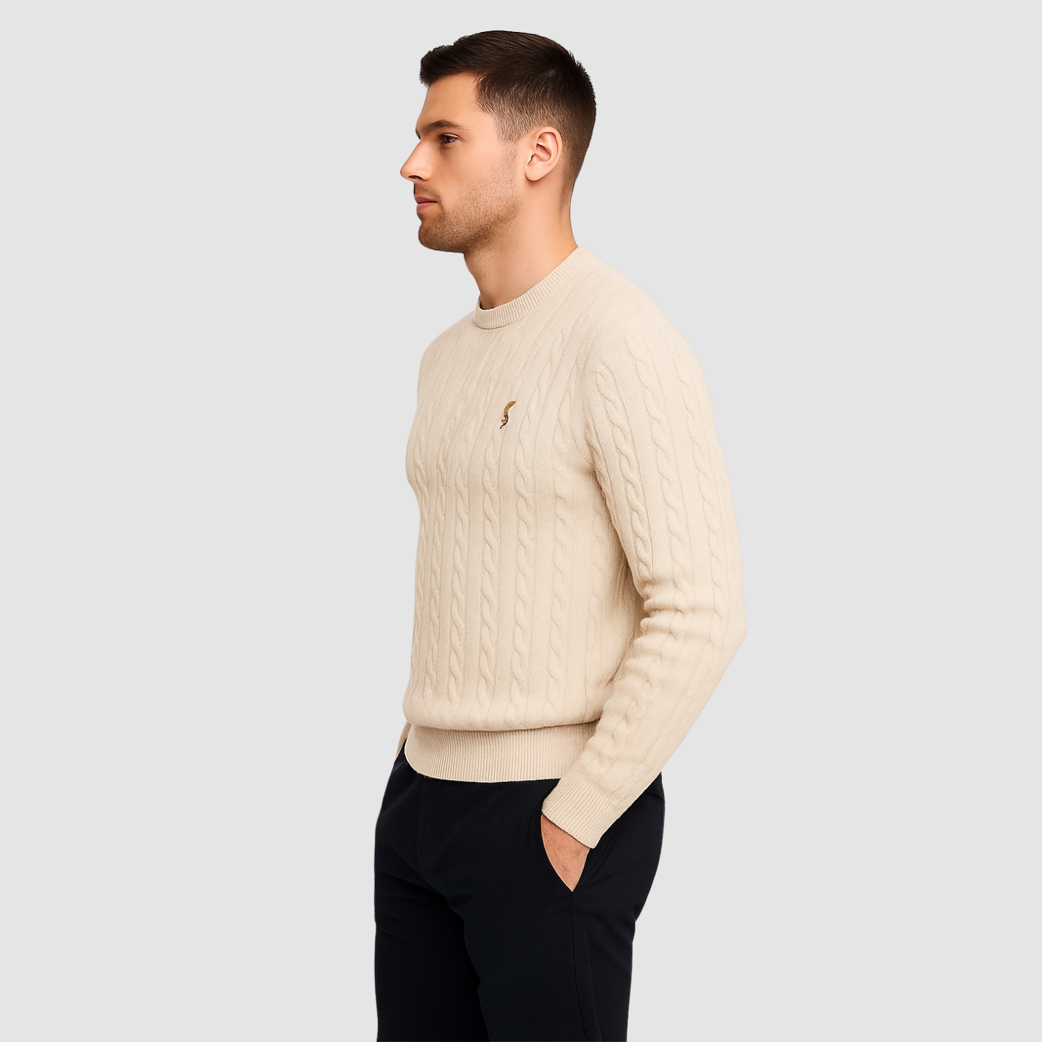 Pull homme en maille torsadée col rond porté en automne