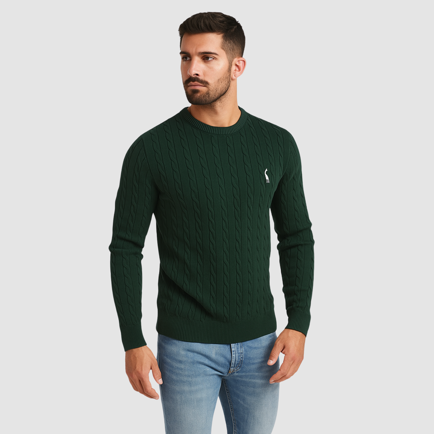 Pull homme en maille torsadée col rond porté en automne