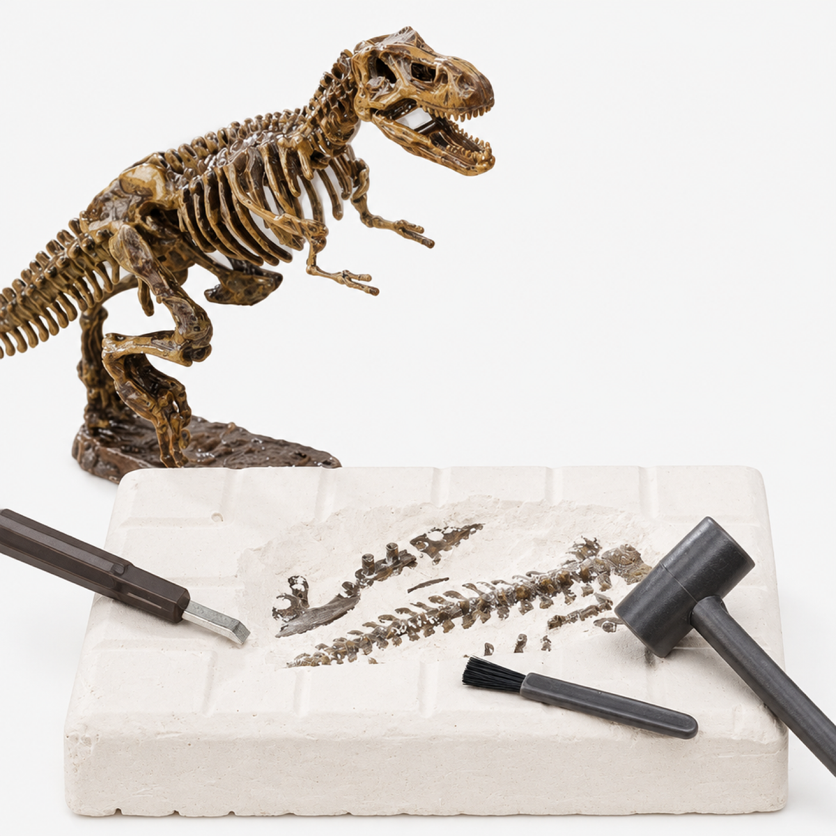Kit d'excavation de fossile de dinosaure avec bloc à creuser, outil de fouille et brosse sur fond blanc