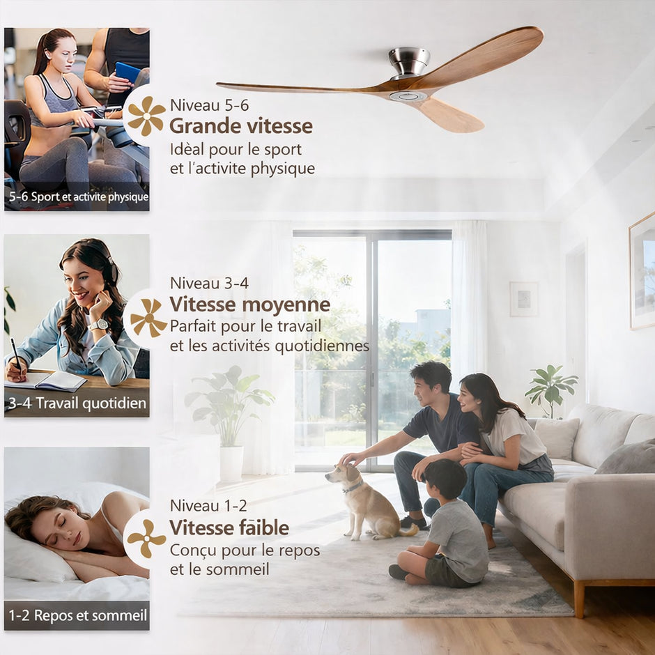Ventilateur de Plafond Bois Massif & LED