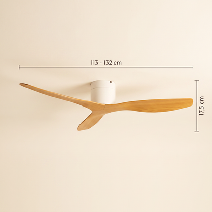 Ventilateur de Plafond Eclipse