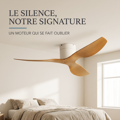 Ventilateur de Plafond Eclipse