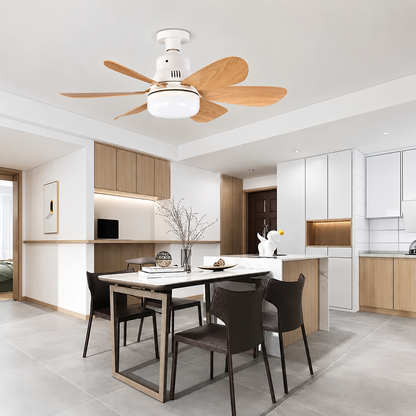 Ventilateur de Plafond avec Éclairage